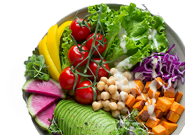 Vegetarian Plan